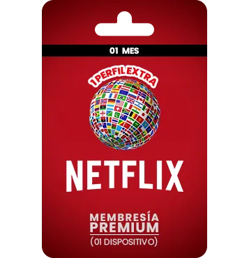 Netflix - Perfil extra Internacional