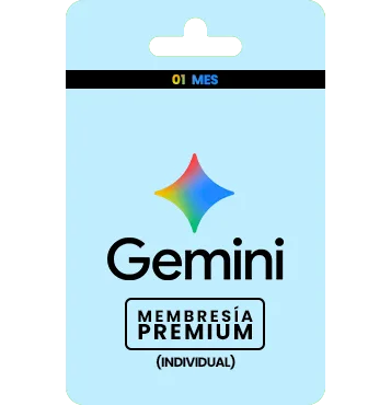 Gemini Pro Individual